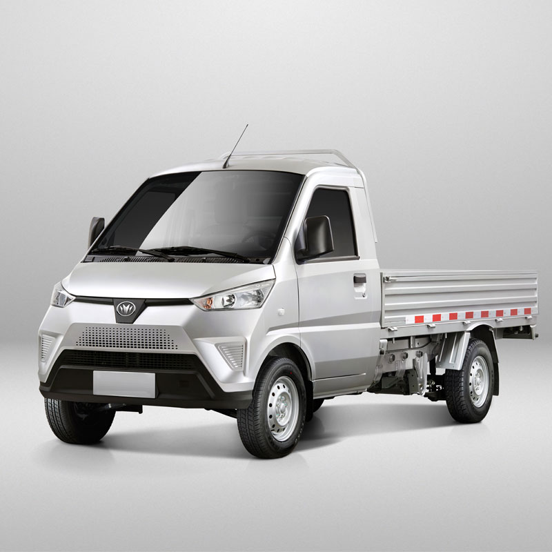 Mini camion elettrico